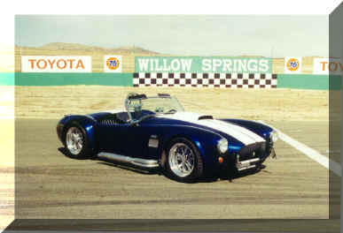 cobra#2.jpg (285041 bytes)